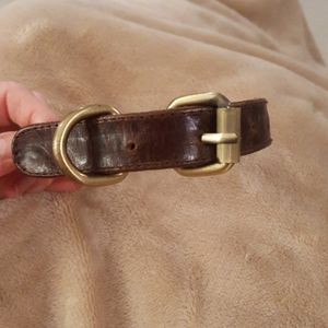 The Golden Dog Leather Dog Collar
